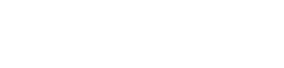 VESAP5 logo